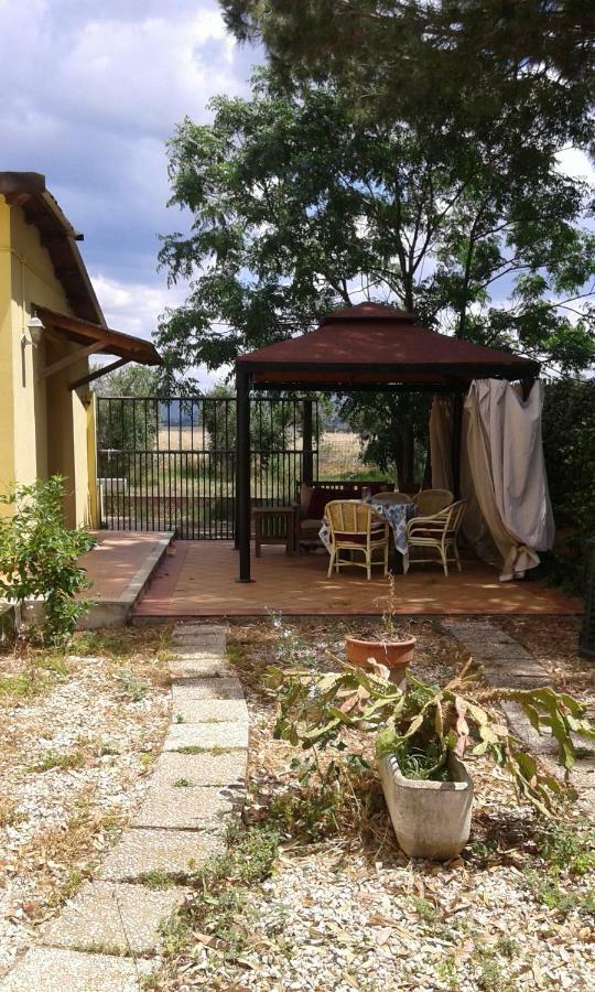Bed and Breakfast Casale Fernando Tarquinia Zewnętrze zdjęcie