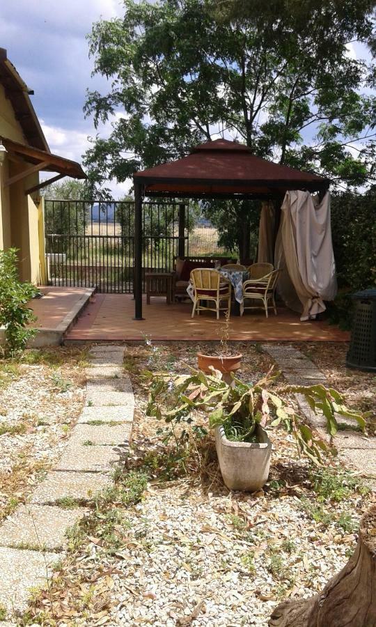 Bed and Breakfast Casale Fernando Tarquinia Zewnętrze zdjęcie