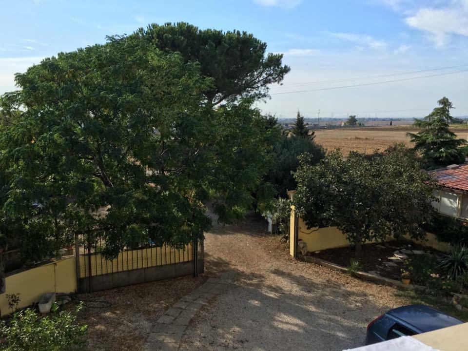 Bed and Breakfast Casale Fernando Tarquinia Zewnętrze zdjęcie